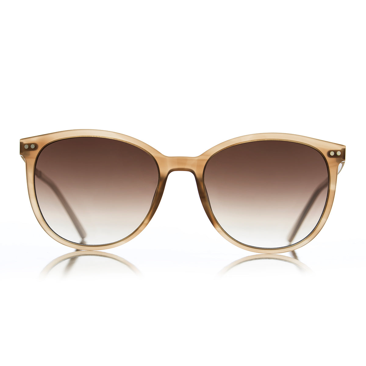 HS Eyewear Daisy - glänzendes milchbraunes Horn
